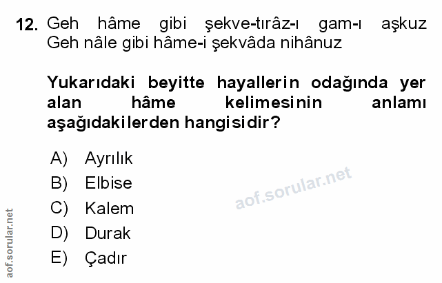 Soru 12