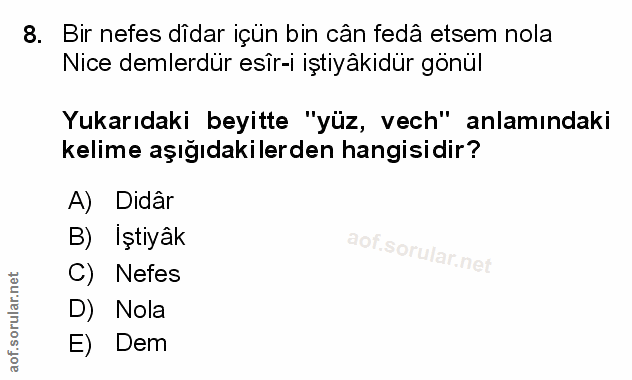 Soru 8