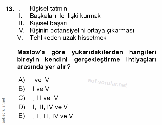 Soru 13