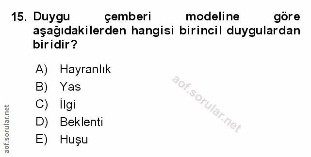 Soru 15