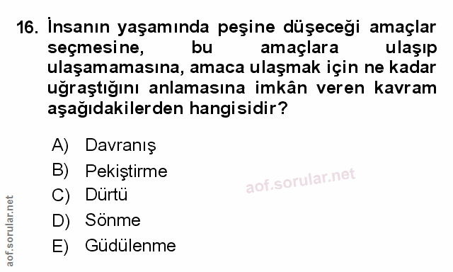 Soru 16