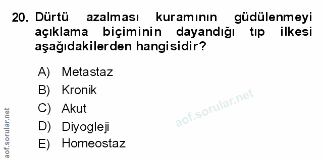 Soru 20