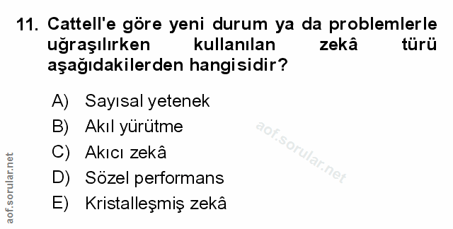 Soru 11