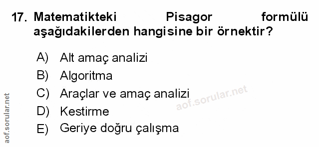 Soru 17
