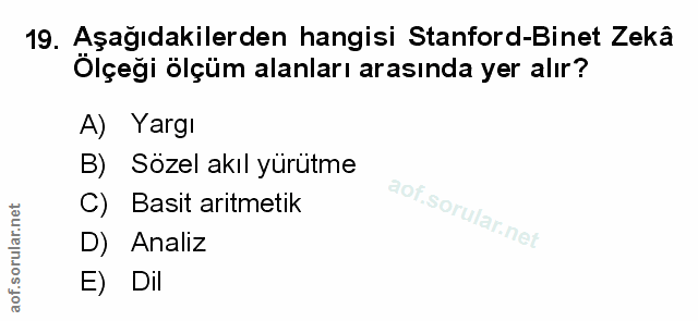 Soru 19