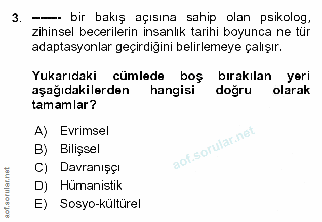 Soru 3