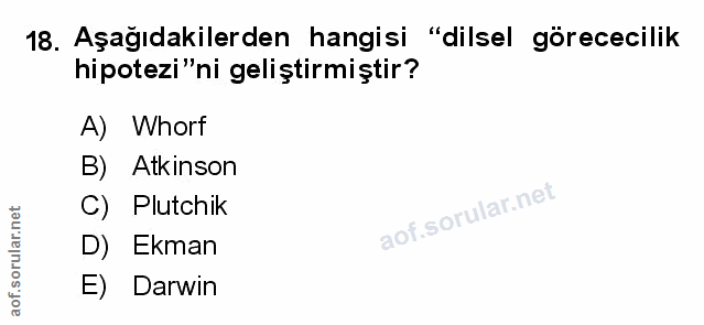 Soru 18