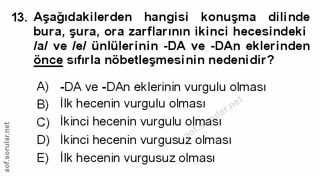 Soru 13