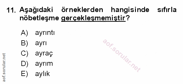 Soru 11