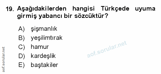 Soru 19