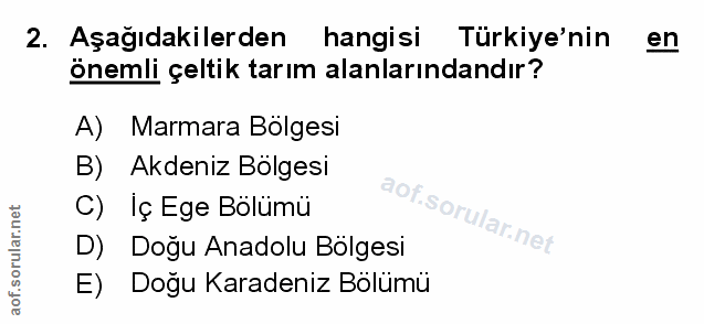 Soru 2