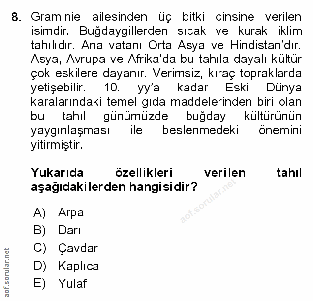 Soru 8