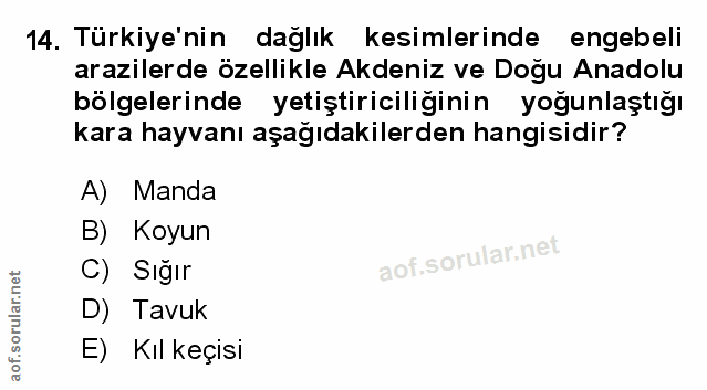 Soru 14