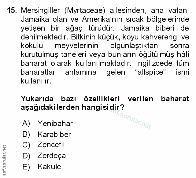 Soru 15