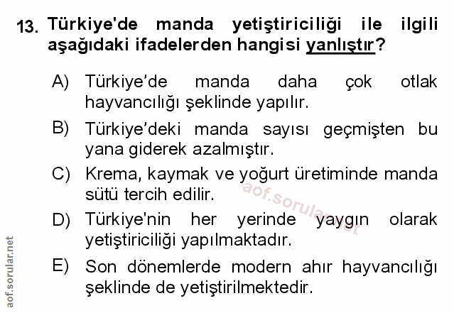 Soru 13