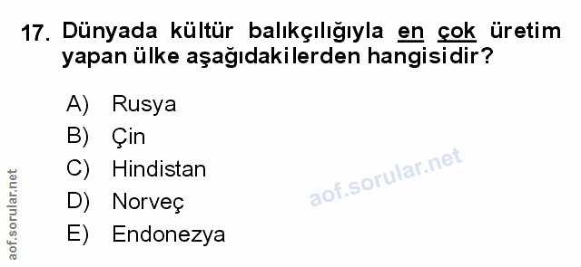 Soru 17