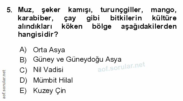Soru 5