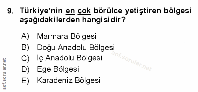 Soru 9