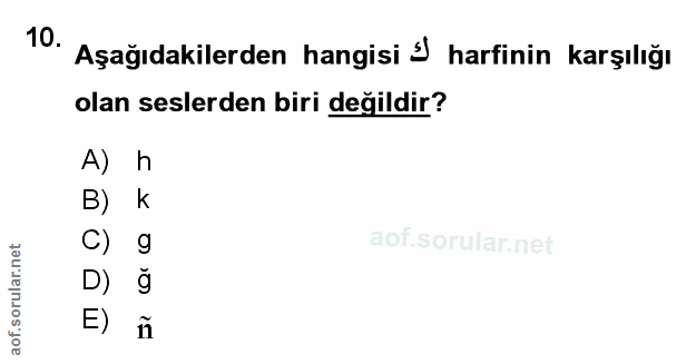 Soru 10