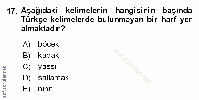 Soru 17
