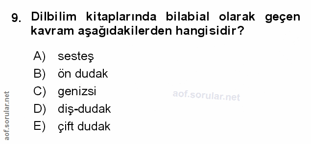 Soru 9