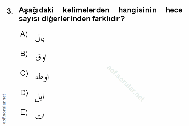 Soru 3