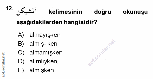 Soru 12