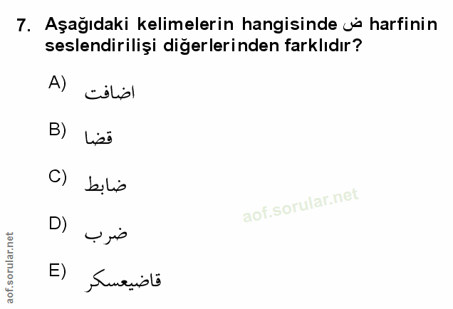 Soru 7
