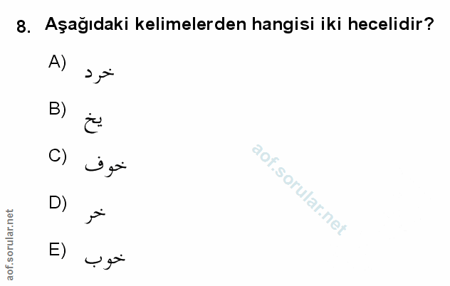 Soru 8