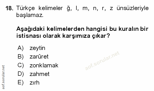 Soru 18