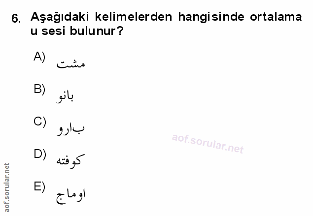 Soru 6