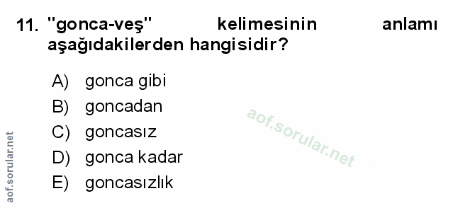 Soru 11