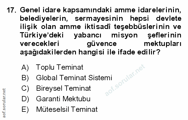 Soru 17