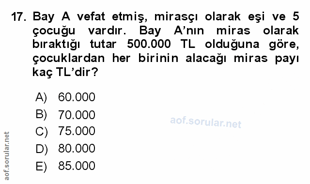 Soru 17