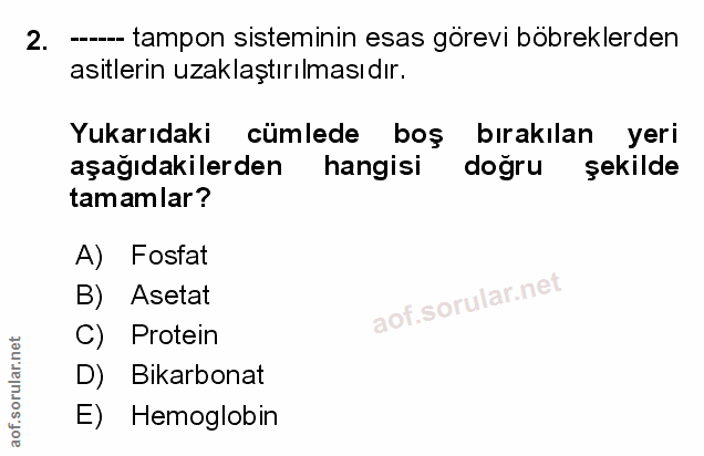 Soru 2