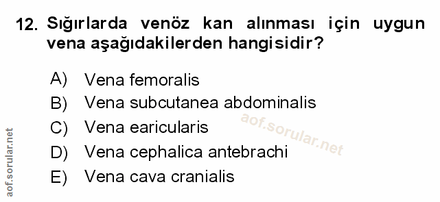 Soru 12