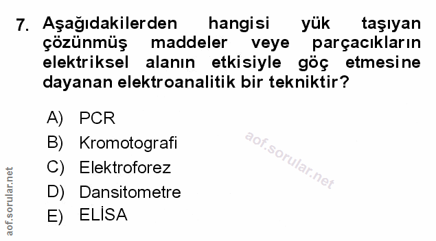 Soru 7