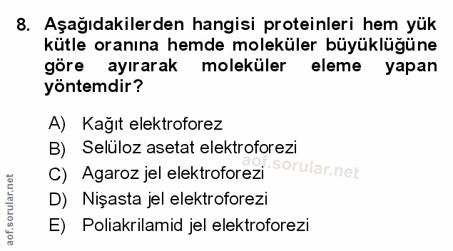 Soru 8