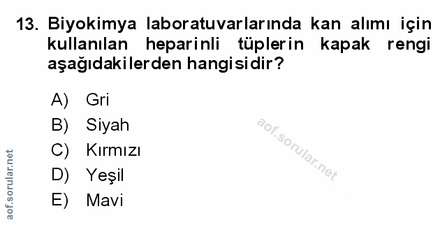 Soru 13