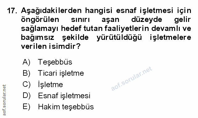 Soru 17