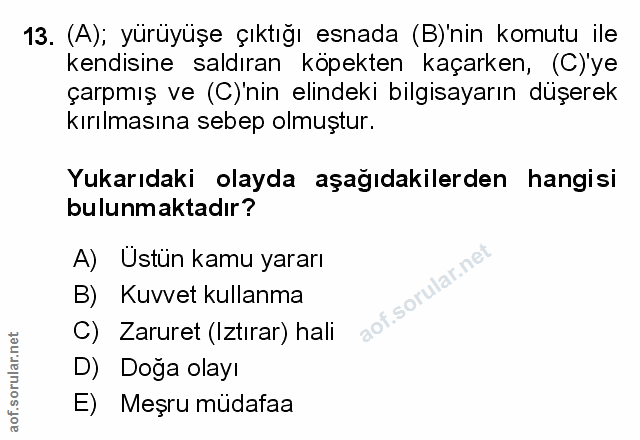 Soru 13