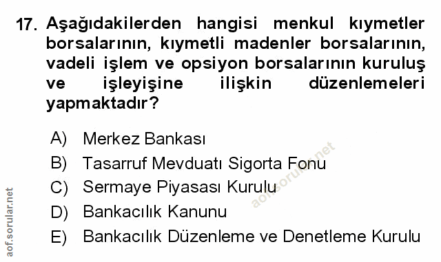Soru 17