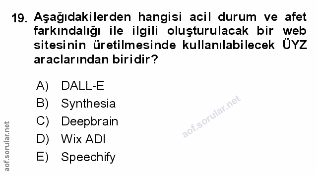 Soru 19
