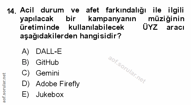 Soru 14