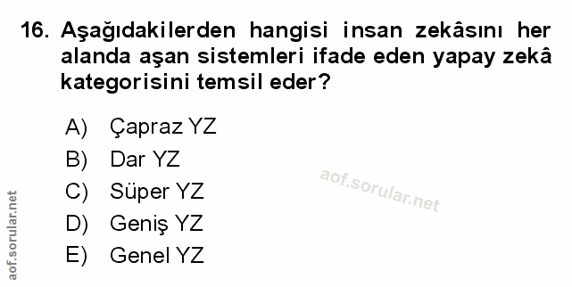 Soru 16
