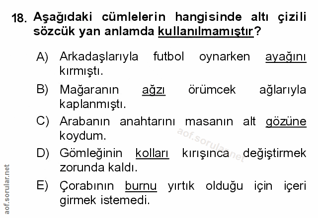 Soru 18