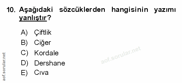 Soru 10