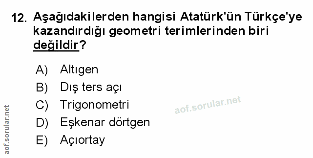 Soru 12