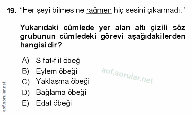 Soru 19