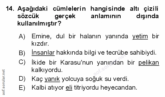 Soru 14